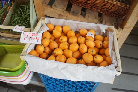 moneglia