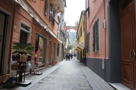moneglia