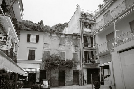 moneglia