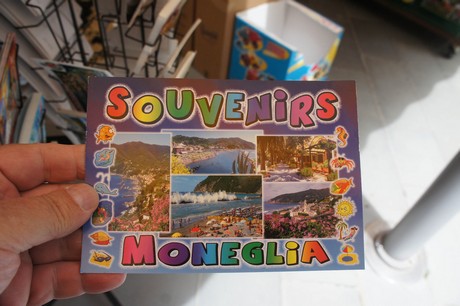 moneglia