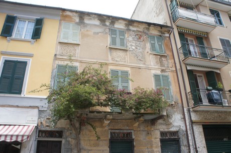 moneglia