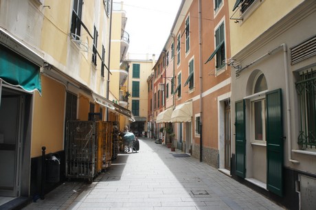 moneglia