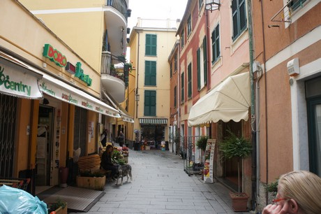 moneglia