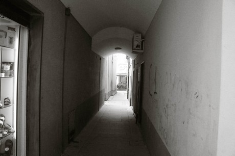 moneglia