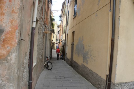 moneglia