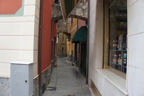 moneglia