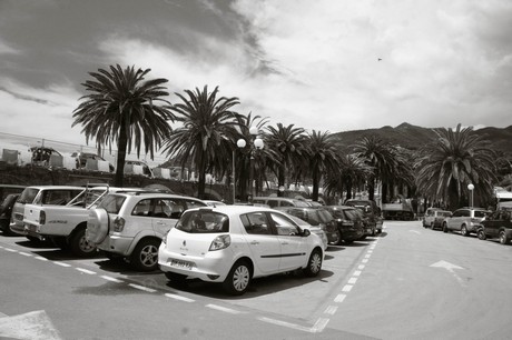 moneglia