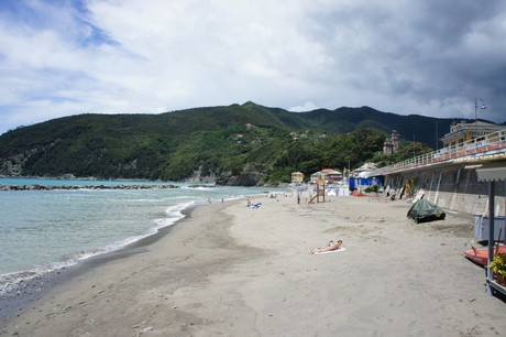 moneglia