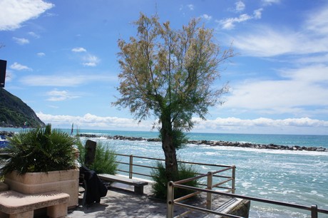 moneglia