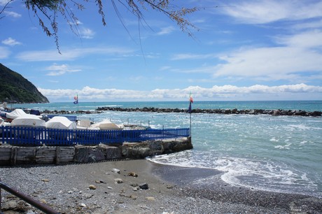 moneglia