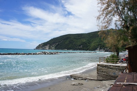 moneglia