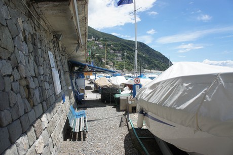 moneglia