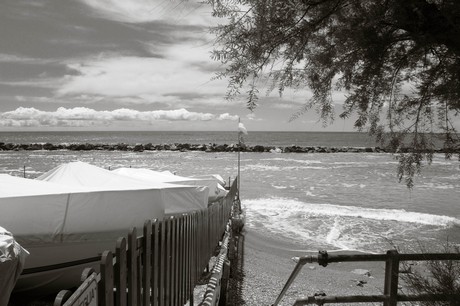 moneglia