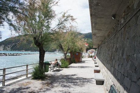 moneglia
