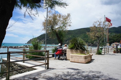 moneglia
