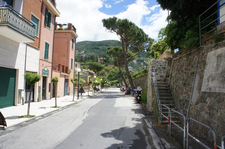 moneglia