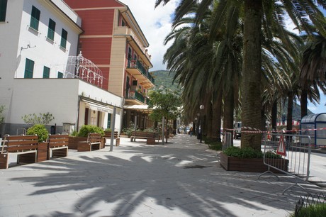 moneglia