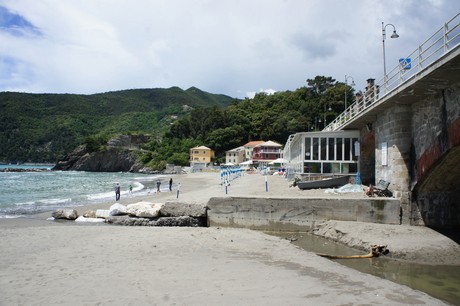 moneglia