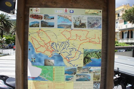 moneglia