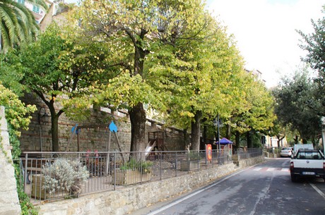 perinaldo