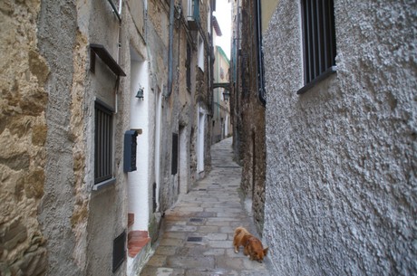 perinaldo
