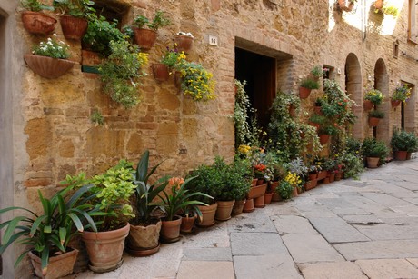 pienza