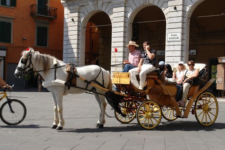 pisa-altstadt