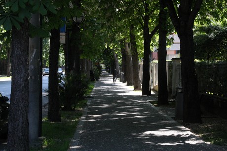 rimini