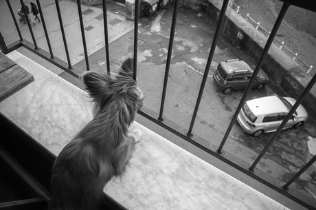 riva-trigoso