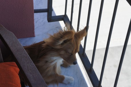 riva-trigoso