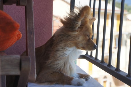 riva-trigoso