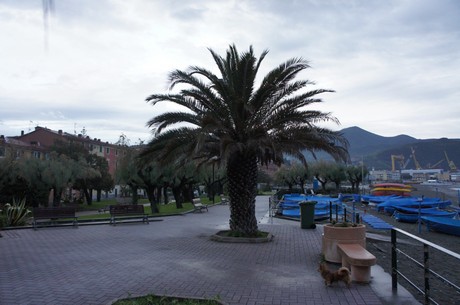 riva-trigoso