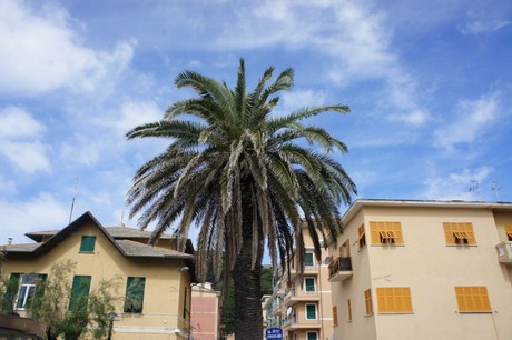 riva-trigoso