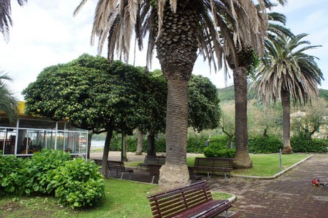 riva-trigoso