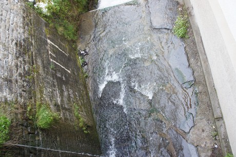 santo-stefano