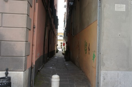 sarzana