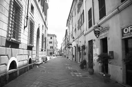 sarzana