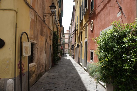 sarzana