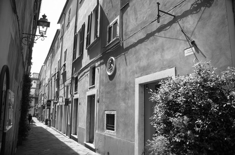sarzana