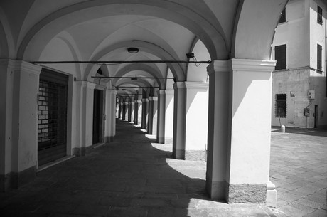 sarzana