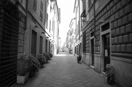 sarzana