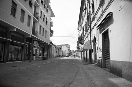 sarzana