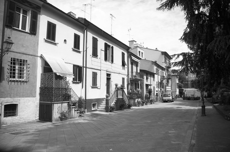 sarzana