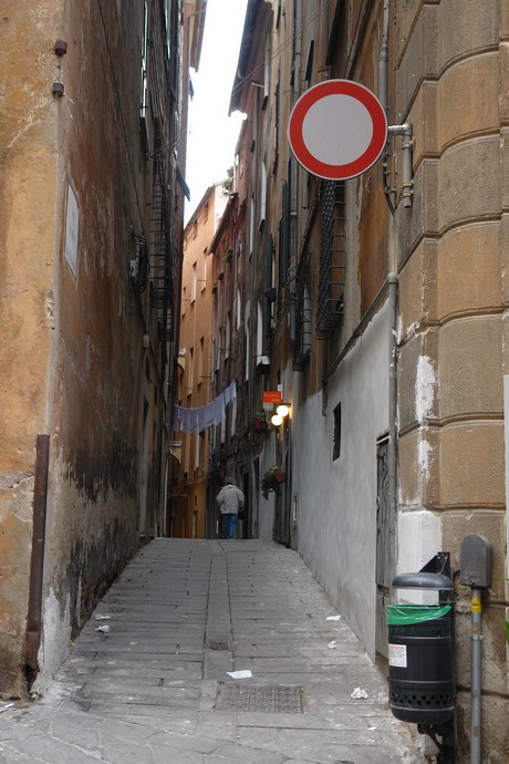 savona