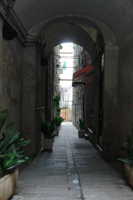 savona