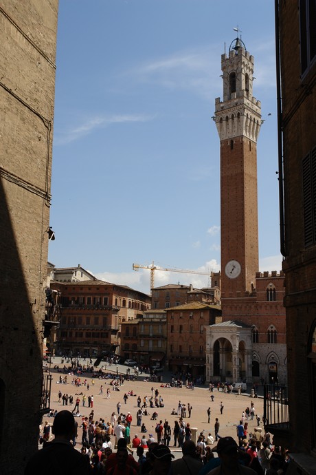 siena