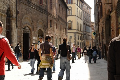 siena