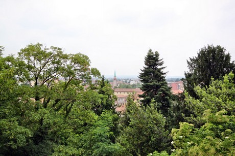 udine