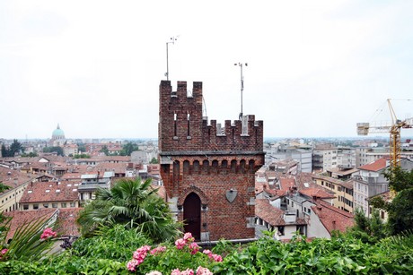 udine