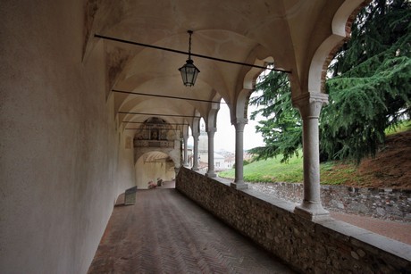udine